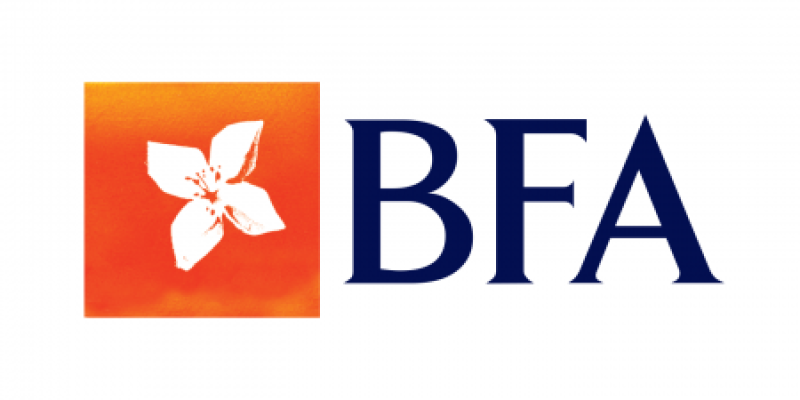 BFA Investe 250 Milhões de Kwanzas em Campanha Solidária - Economia e Mercado