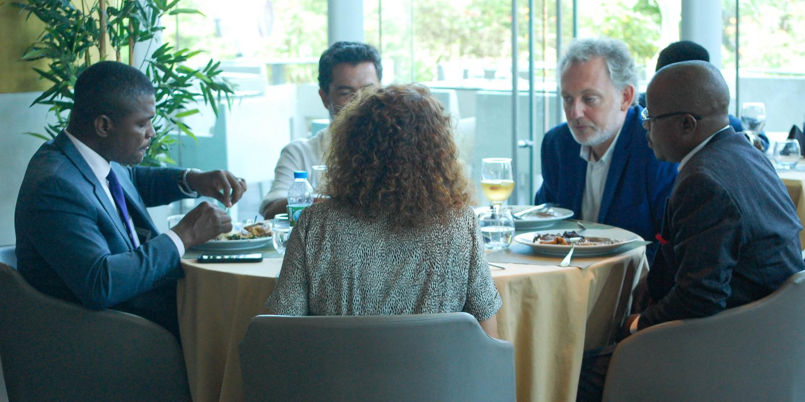 TheBridgeGlobal Apresenta Novas Áreas de Actuação