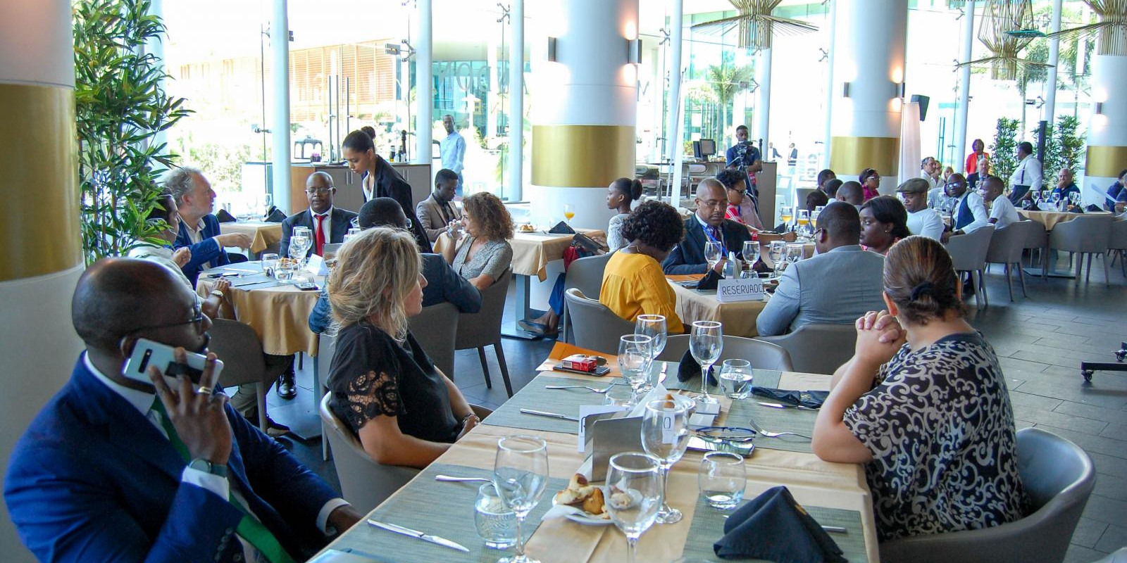 TheBridgeGlobal Apresenta Novas Áreas de Actuação