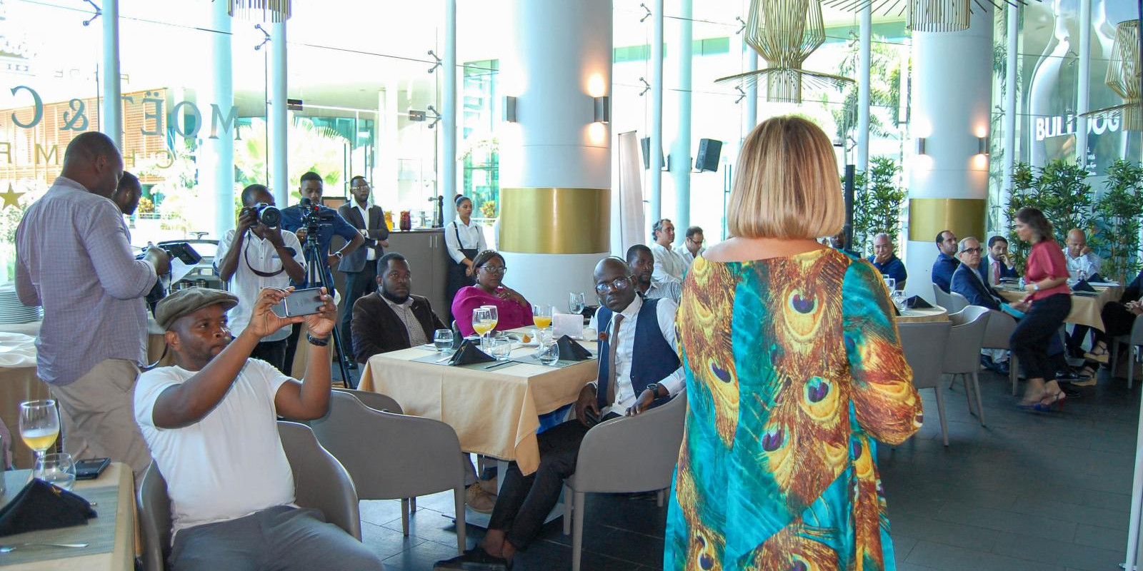 TheBridgeGlobal Apresenta Novas Áreas de Actuação